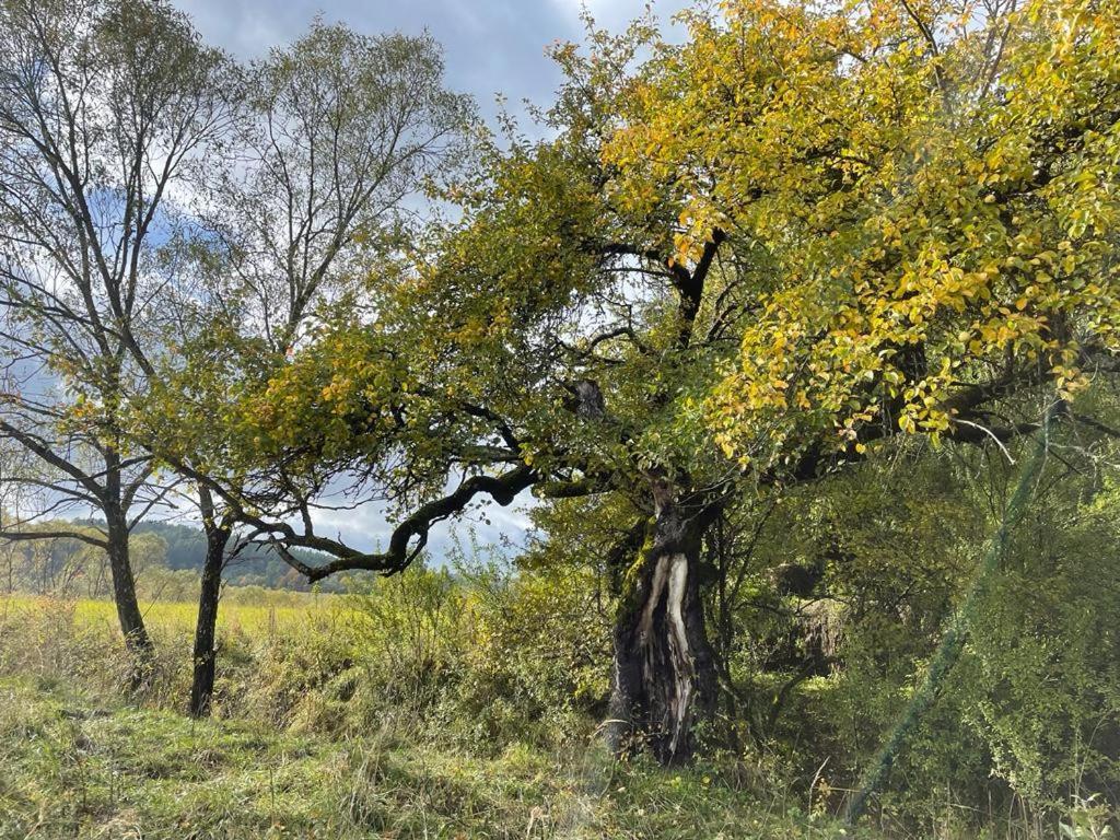 Appartamento Kolejowy Smolnik Smolnik  Esterno foto